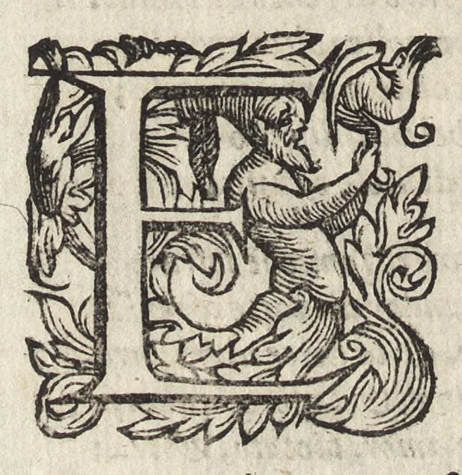 An illustration from Il fido amante : poema eroico, 1582, leaf 319