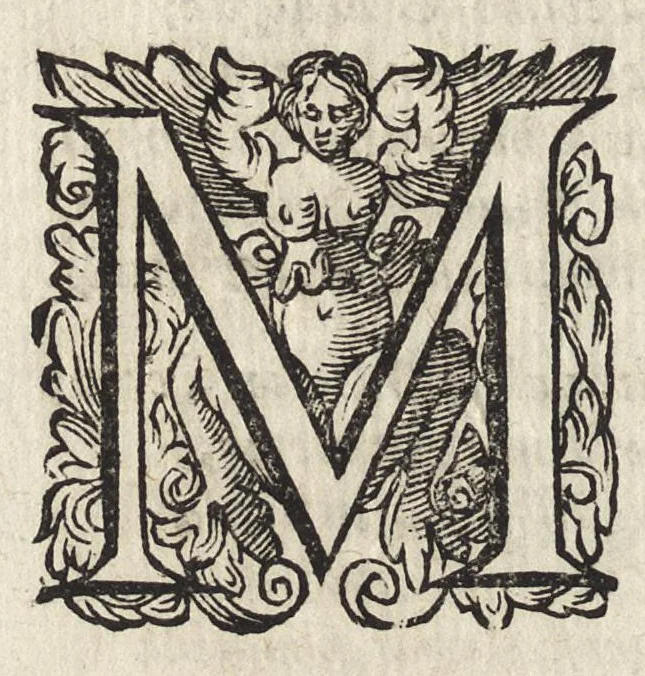 An illustration from Il fido amante : poema eroico, 1582, leaf 331