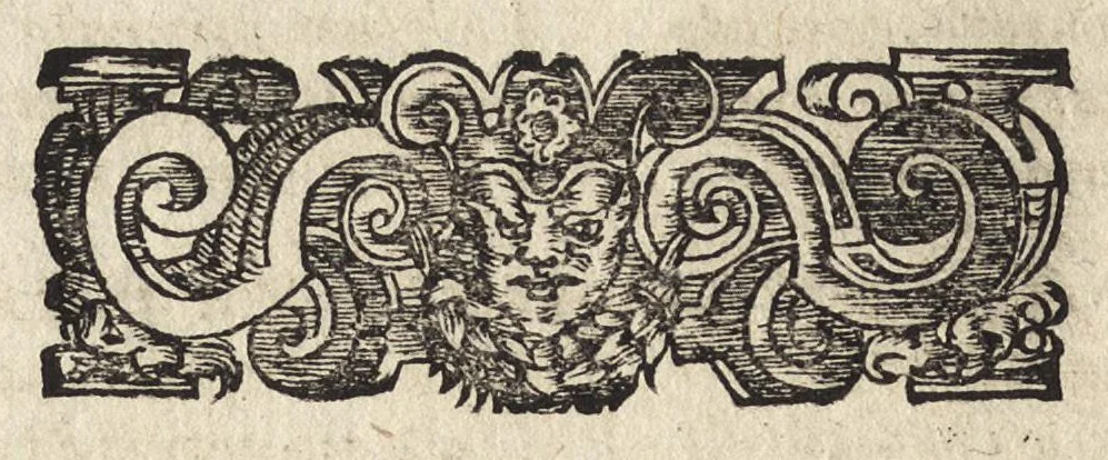 An illustration from Il fido amante : poema eroico, 1582, leaf 343