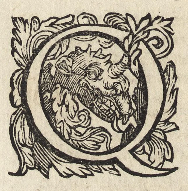 An illustration from Il fido amante : poema eroico, 1582, leaf 343