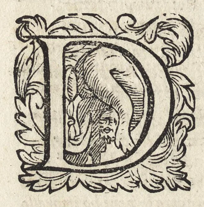 An illustration from Il fido amante : poema eroico, 1582, leaf 373