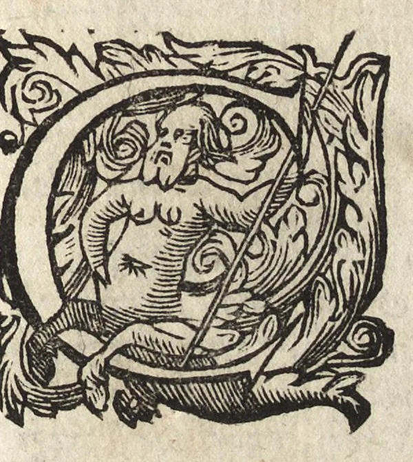 An illustration from Il fido amante : poema eroico, 1582, leaf 386
