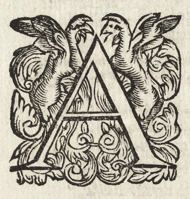 An illustration from Il fido amante : poema eroico, 1582, leaf 399
