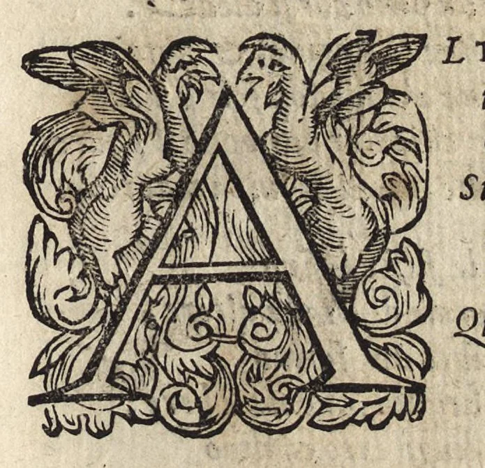 An illustration from Il fido amante : poema eroico, 1582, leaf 40