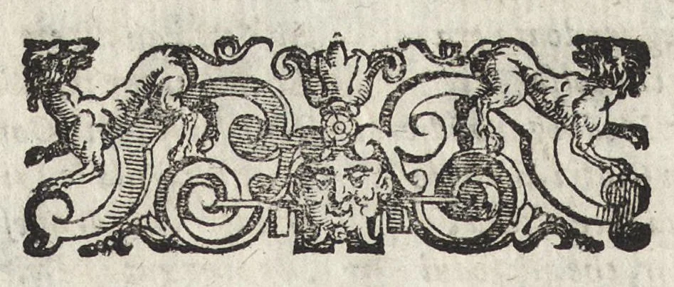 An illustration from Il fido amante : poema eroico, 1582, leaf 411