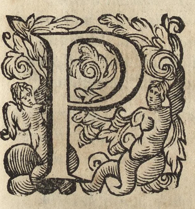 An illustration from Il fido amante : poema eroico, 1582, leaf 428
