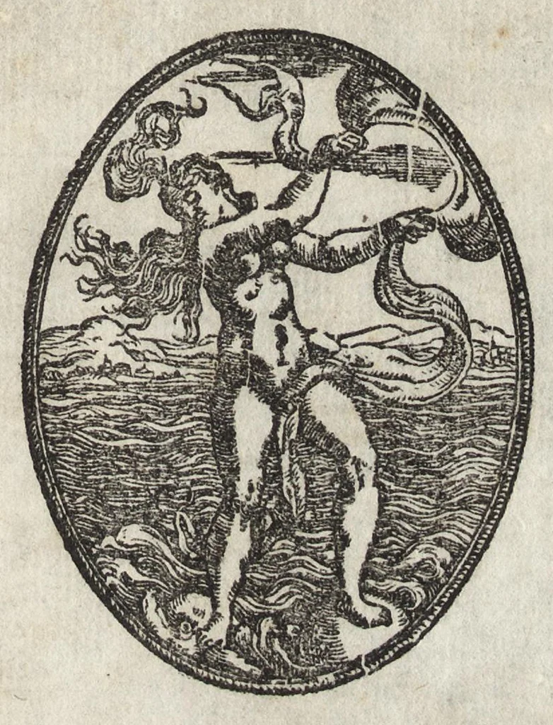 An illustration from Il fido amante : poema eroico, 1582, leaf 446