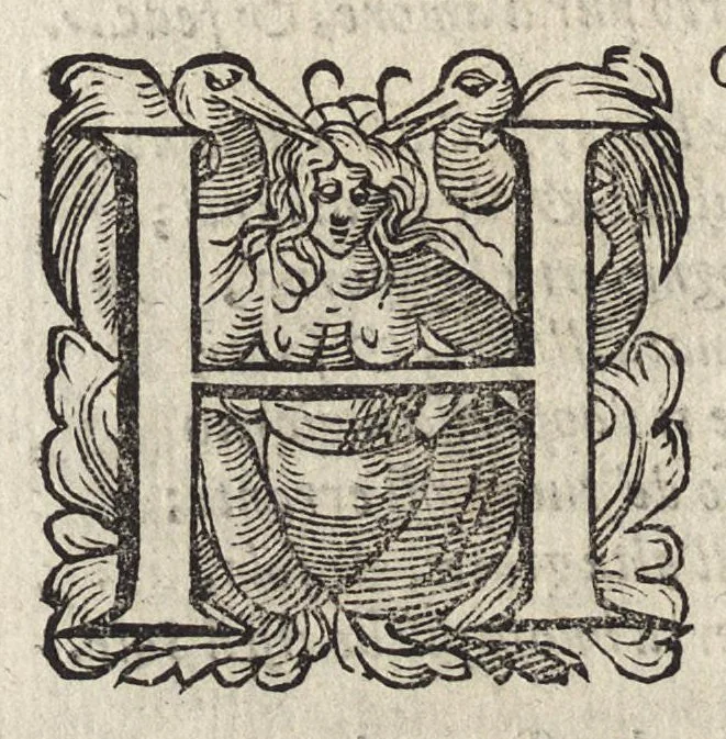 An illustration from Il fido amante : poema eroico, 1582, leaf 51