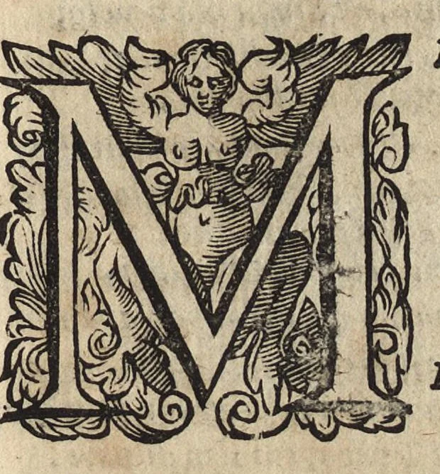 An illustration from Il fido amante : poema eroico, 1582, leaf 62