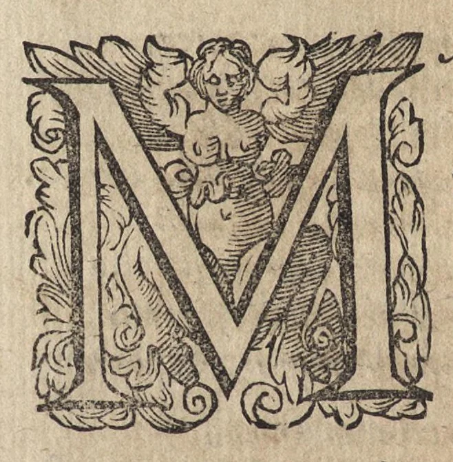 An illustration from Il fido amante : poema eroico, 1582, leaf 85