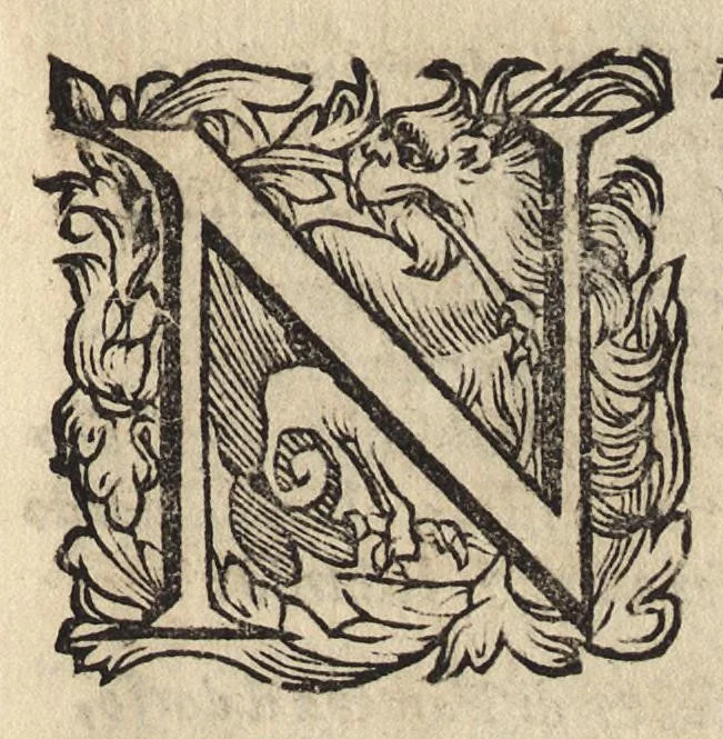 An illustration from Il fido amante : poema eroico, 1582, leaf 96