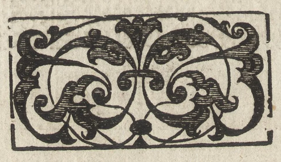 An illustration from The silkewormes, and their flies, 1599, leaf 11