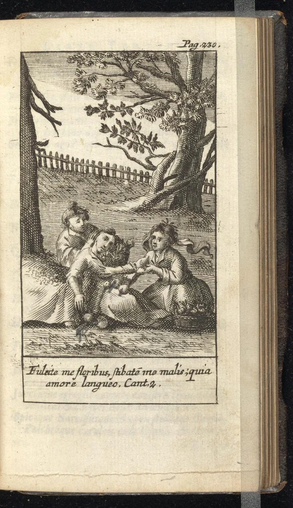 An illustration from Pia desideria : tribus libris comprehensa, 1657, leaf 304