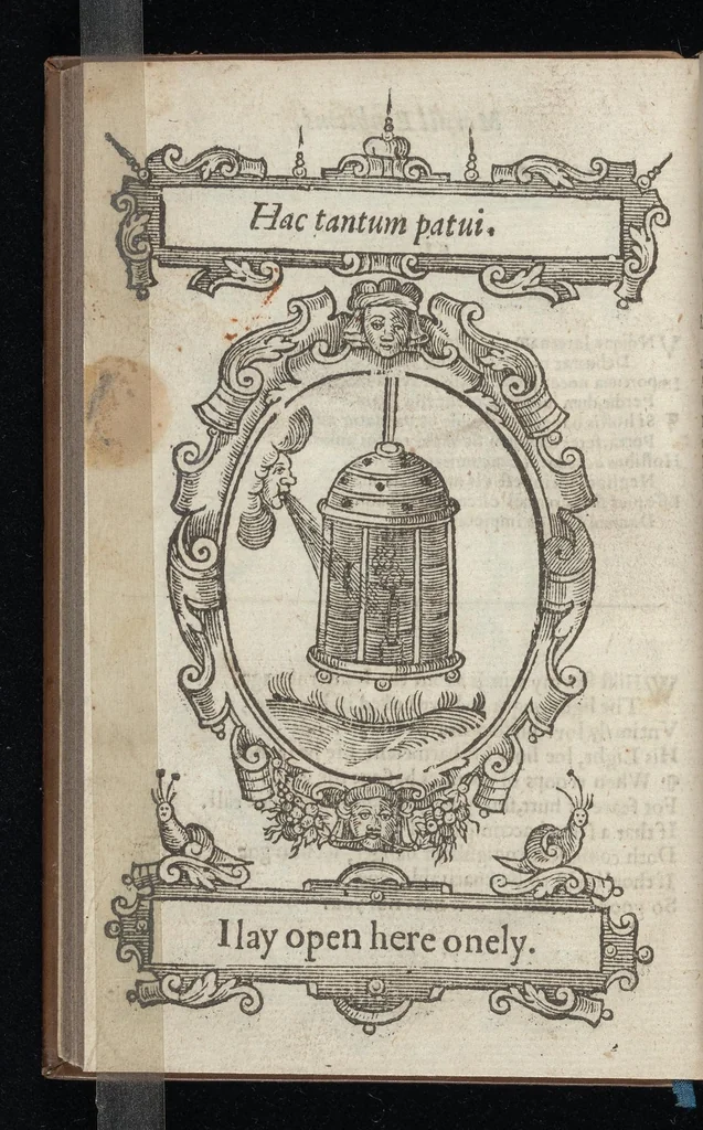 An illustration from Lychnocausia, siue, Moralia facum emblemata = Lights, morall emblems, 1638, leaf 121