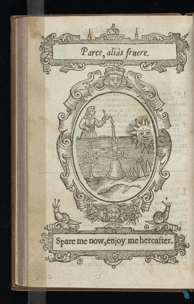 An illustration from Lychnocausia, siue, Moralia facum emblemata = Lights, morall emblems, 1638, leaf 35