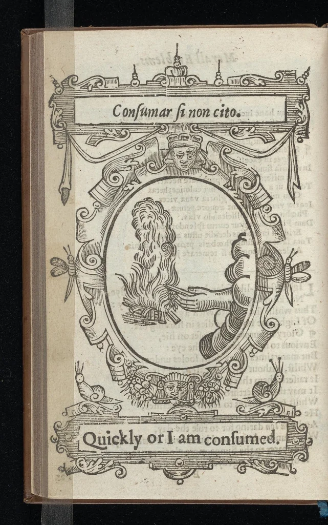 An illustration from Lychnocausia, siue, Moralia facum emblemata = Lights, morall emblems, 1638, leaf 69