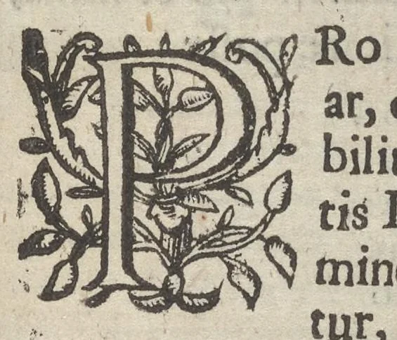 An illustration from Lychnocausia, siue, Moralia facum emblemata = Lights, morall emblems, 1638, leaf 8