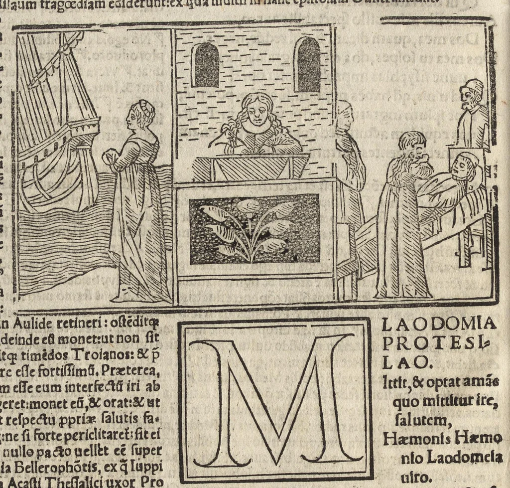 An illustration from Habes, candide lector, Pvb. Ovidii Nasonis Heroides : collatis quampluribus tam ueteribus q[uam] recentioribus codicibus quamemendatissimas, 1538, leaf 123