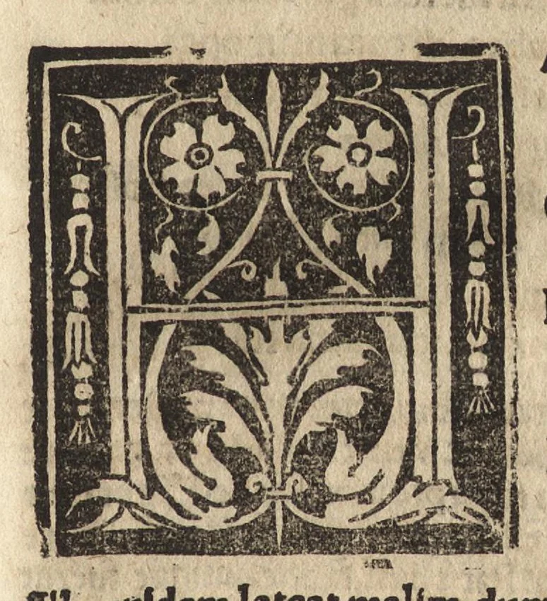 An illustration from Habes, candide lector, Pvb. Ovidii Nasonis Heroides : collatis quampluribus tam ueteribus q[uam] recentioribus codicibus quamemendatissimas, 1538, leaf 136