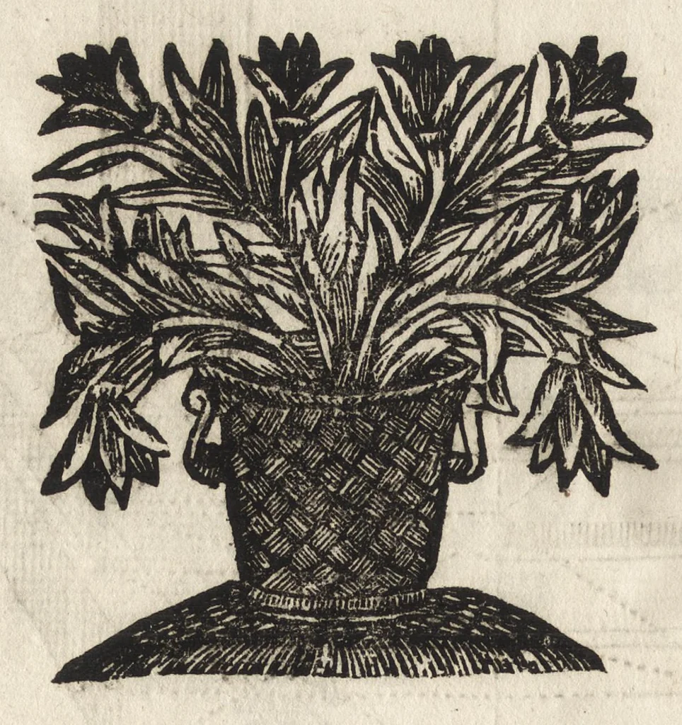 An illustration from Paradossi per pratticare la prospettiva senza saperla, fiori, per facilitare l'intelligenza, frutti, per non operare alla cieca. Cognitioni necessarie à pittori, scultori, architetti, ed à qualunque si diletta di disegno, 1683, leaf 109