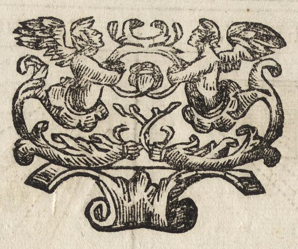 An illustration from Paradossi per pratticare la prospettiva senza saperla, fiori, per facilitare l'intelligenza, frutti, per non operare alla cieca. Cognitioni necessarie à pittori, scultori, architetti, ed à qualunque si diletta di disegno, 1683, leaf 115