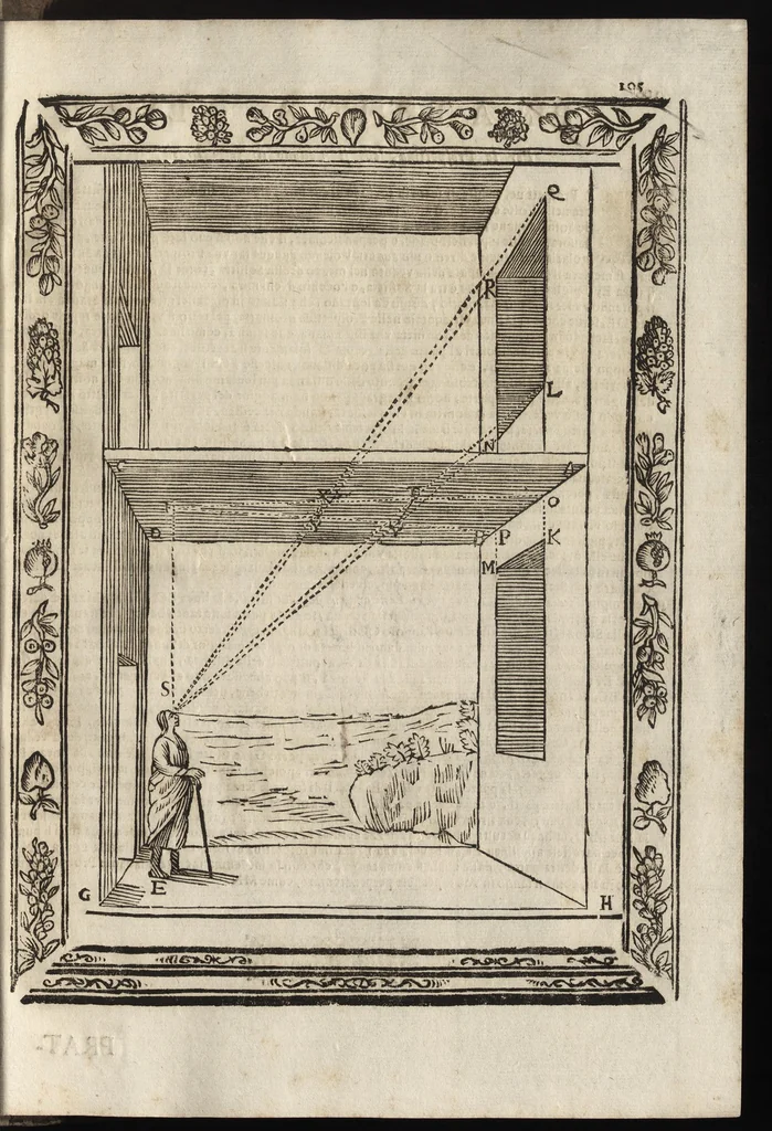 An illustration from Paradossi per pratticare la prospettiva senza saperla, fiori, per facilitare l'intelligenza, frutti, per non operare alla cieca. Cognitioni necessarie à pittori, scultori, architetti, ed à qualunque si diletta di disegno, 1683, leaf 116