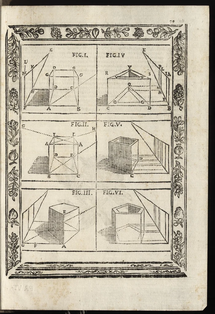 An illustration from Paradossi per pratticare la prospettiva senza saperla, fiori, per facilitare l'intelligenza, frutti, per non operare alla cieca. Cognitioni necessarie à pittori, scultori, architetti, ed à qualunque si diletta di disegno, 1683, leaf 90