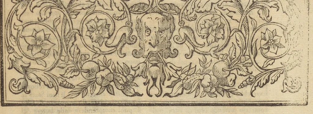 An illustration from Historia di Leopoldo Cesare : continente le cose più memorabili successe in Europa, dal 1656 sino al 1670, 1670, leaf 1098