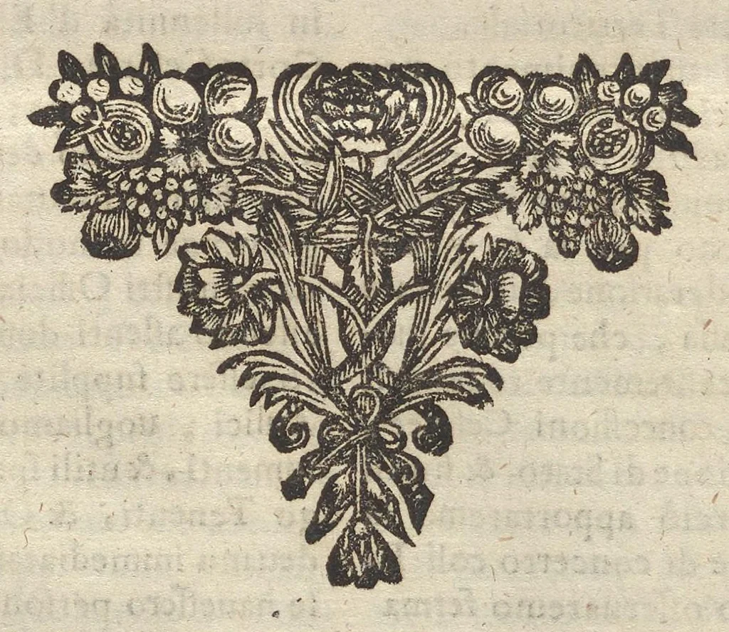 An illustration from Historia di Leopoldo Cesare : continente le cose più memorabili successe in Europa, dal 1656 sino al 1670, 1670, leaf 1205