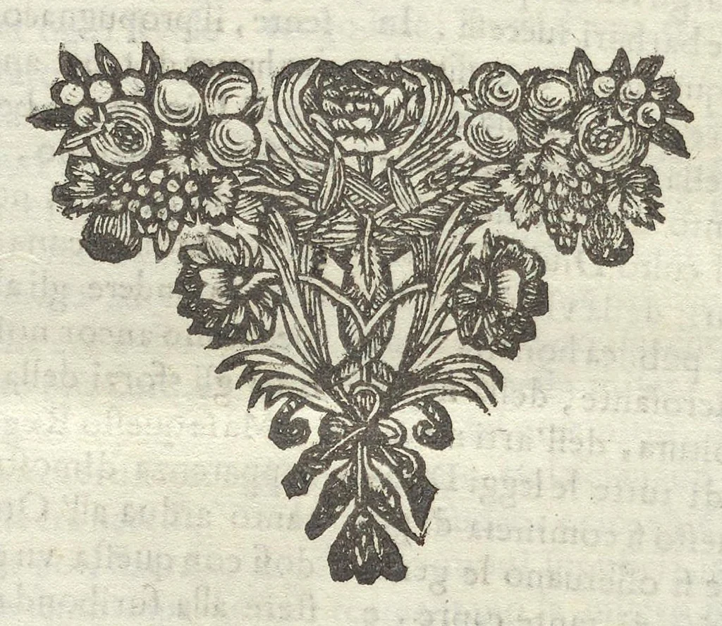 An illustration from Historia di Leopoldo Cesare : continente le cose più memorabili successe in Europa, dal 1656 sino al 1670, 1670, leaf 1239