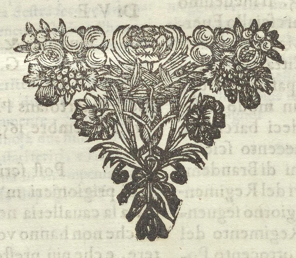 An illustration from Historia di Leopoldo Cesare : continente le cose più memorabili successe in Europa, dal 1656 sino al 1670, 1670, leaf 1259
