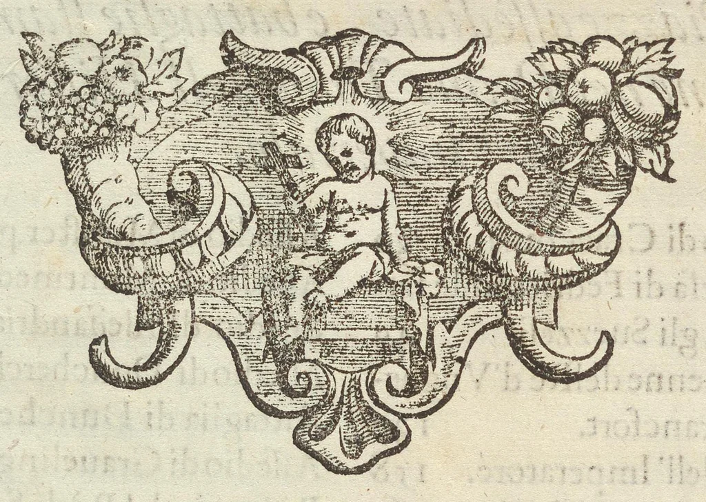 An illustration from Historia di Leopoldo Cesare : continente le cose più memorabili successe in Europa, dal 1656 sino al 1670, 1670, leaf 13