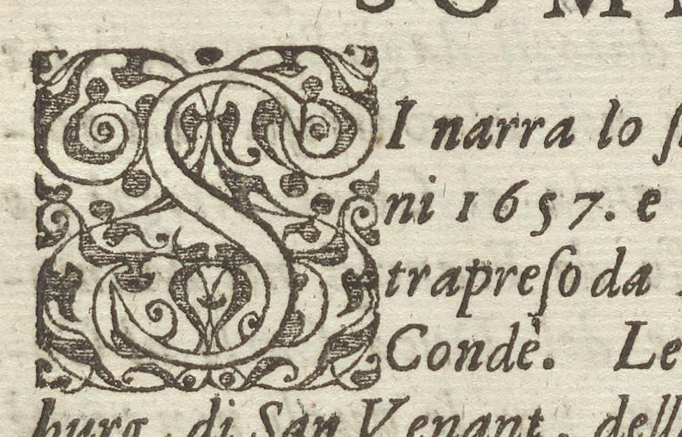 An illustration from Historia di Leopoldo Cesare : continente le cose più memorabili successe in Europa, dal 1656 sino al 1670, 1670, leaf 266