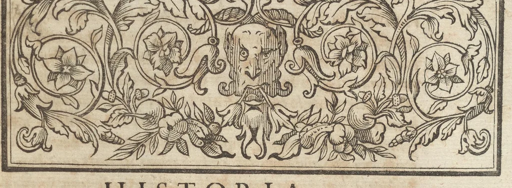 An illustration from Historia di Leopoldo Cesare : continente le cose più memorabili successe in Europa, dal 1656 sino al 1670, 1670, leaf 966