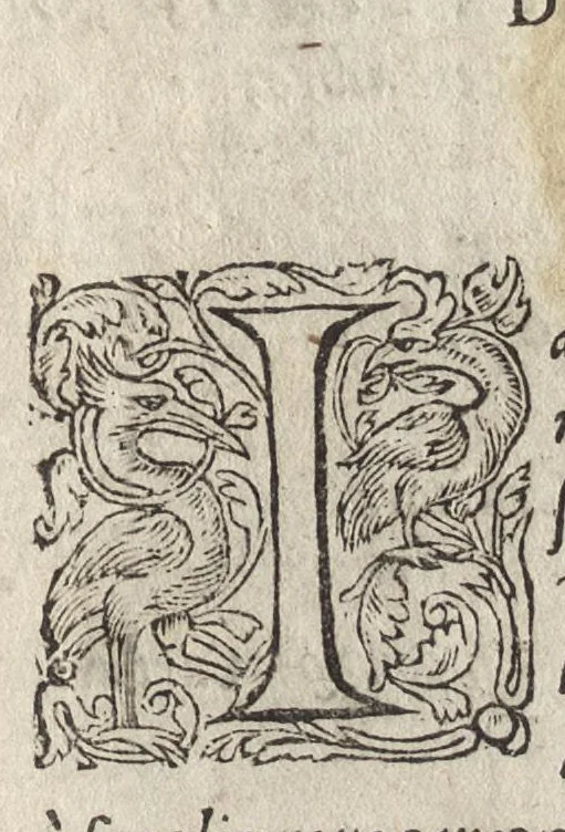 An illustration from Le imagini de i dei de gli antichi : nelle qvali si contengono gl'idoli, riti, ceremonie, & altre cose appartenenti alla religione de gli antichi, con la loro espositione & con bellissime & accomodate figure nouamente ristampate et con esserui citati i luoci de gli autori stessi di donde molte cose sono cauate con molta diligenza riuiste e ricorrette, 1581, leaf 8