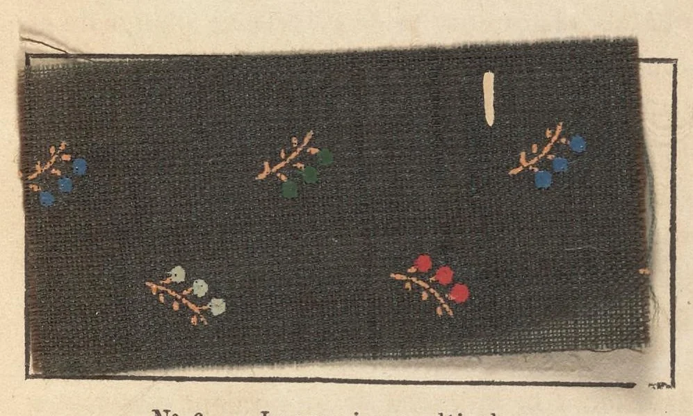 An illustration from Méthode pratique d'impression des tissus en couleurs : mates, dorées, argentées, bronzées, veloutées et perlées : applicable aus étoffes reteintes, aux tissus en pièces, aus rubans, aux peaux, toiles cirées, moleskines, aux papiers de fantaisie, à la chapellerie, aux cachets et marques de fabrique, etc, 1873, leaf 46