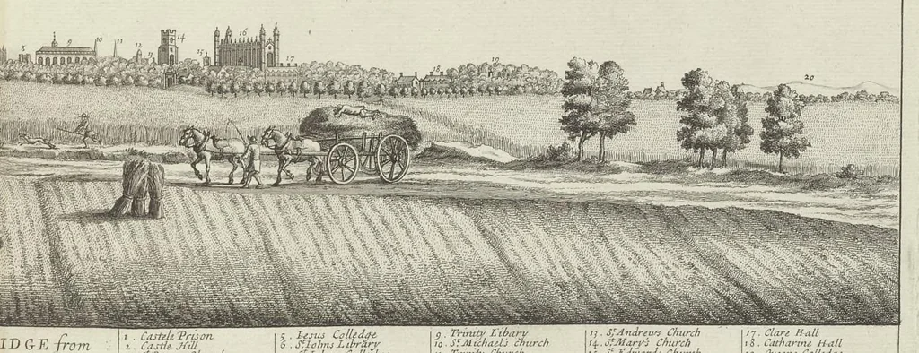 An illustration from Cantabrigia illustrata, sive, Omnium celeberrimae istius universitatis collegiorum, aularum, bibliothecae academicae, scholarum publicarum, Sacelli Coll. Regalis, nec non totius oppidi ichnographia, 1690, leaf 20