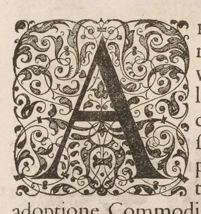An illustration from Imperatorum romanorum numismata ex aere mediae et minimae formae : descripta & enarrata, 1671, leaf 263