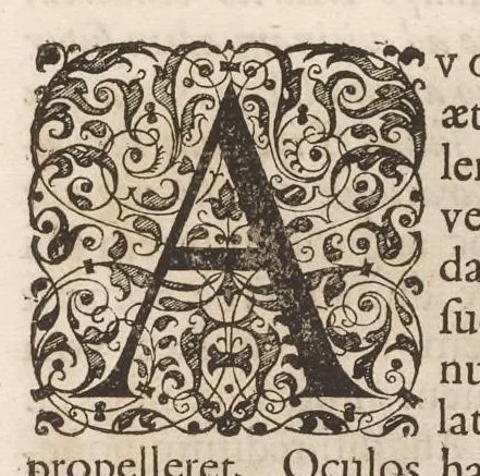 An illustration from Imperatorum romanorum numismata ex aere mediae et minimae formae : descripta & enarrata, 1671, leaf 72