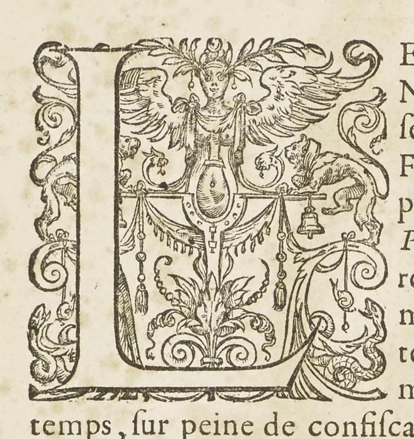 An illustration from Abregé d'anatomie, accommodé aux arts de peinture et de sculpture : et mis dans un ordre nouveau, dont la methode est tres-facile ... : ouvrage tres-utile, & tres necessaire à tous ceux qui font profession du dessein, 1668, leaf 33