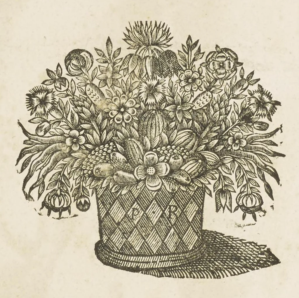 An illustration from Abregé d'anatomie, accommodé aux arts de peinture et de sculpture : et mis dans un ordre nouveau, dont la methode est tres-facile ... : ouvrage tres-utile, & tres necessaire à tous ceux qui font profession du dessein, 1668, leaf 33