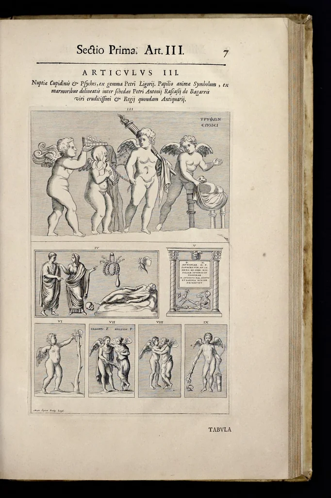 An illustration from Miscellanea eruditae antiquitatis : in quibus marmora, statuae, musiva, toreumata, gemmae, numismata, Grutero, Vrsino, Boissardo, Reinesio aliisque antiquorum monumentorum collectoribus ignota & hucusque inedita referuntur ac illustrantur, 1685, leaf 20