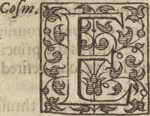 An illustration from The gentlemans exercise, or, An exquisite practise : as well for drawing all manner of beasts in their true portraitures, as also the making of all kinds of colors, to be used in limming, painting, tricking, and blazon of coates, and armes, with divers other most delightfull and pleasurable observations for all young gentlemen and others : as also serving for the necessary use and generall benefit of diuers trades-men and artificers ..., 1634, leaf 142