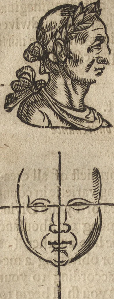 An illustration from The gentlemans exercise, or, An exquisite practise : as well for drawing all manner of beasts in their true portraitures, as also the making of all kinds of colors, to be used in limming, painting, tricking, and blazon of coates, and armes, with divers other most delightfull and pleasurable observations for all young gentlemen and others : as also serving for the necessary use and generall benefit of diuers trades-men and artificers ..., 1634, leaf 35