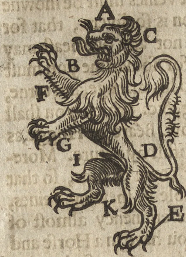An illustration from The gentlemans exercise, or, An exquisite practise : as well for drawing all manner of beasts in their true portraitures, as also the making of all kinds of colors, to be used in limming, painting, tricking, and blazon of coates, and armes, with divers other most delightfull and pleasurable observations for all young gentlemen and others : as also serving for the necessary use and generall benefit of diuers trades-men and artificers ..., 1634, leaf 63
