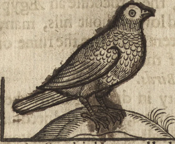An illustration from The gentlemans exercise, or, An exquisite practise : as well for drawing all manner of beasts in their true portraitures, as also the making of all kinds of colors, to be used in limming, painting, tricking, and blazon of coates, and armes, with divers other most delightfull and pleasurable observations for all young gentlemen and others : as also serving for the necessary use and generall benefit of diuers trades-men and artificers ..., 1634, leaf 67