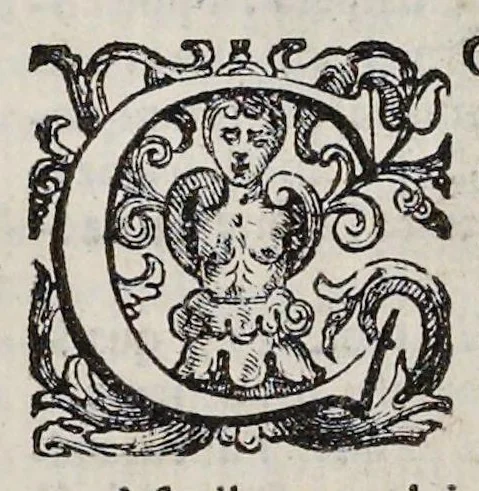 An illustration from Felsina pittrice: vite de pittori bolognesi : alla maesta christianissima di Luigi XIIII re di Francia e di Navarra il sempre vittorioso, 1678, leaf 8