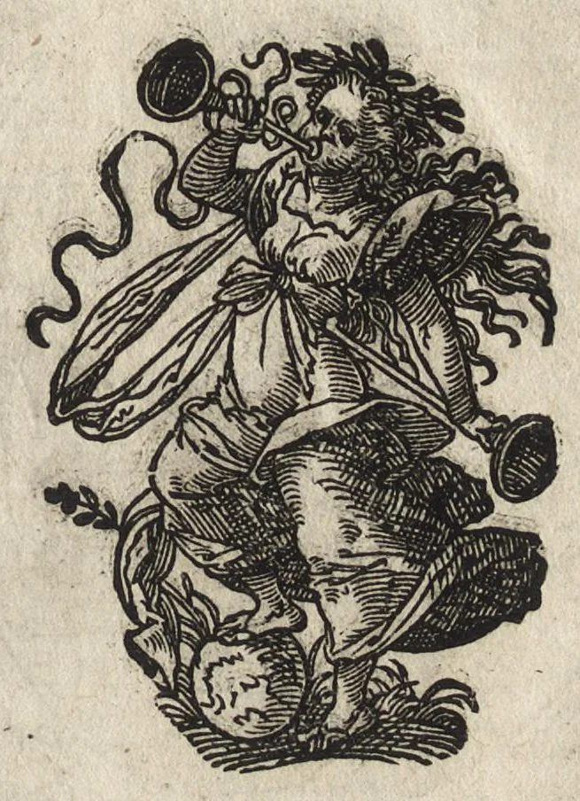 An illustration from De omnibvs illiberalibvs sive mechanicis artibvs : hvmani ingenii sagacitate atque industria iam inde ab exordio nascentis mundi vsque ad nostram aetatem adinuentis, luculentus atque succinctus liber, 1574, leaf 298