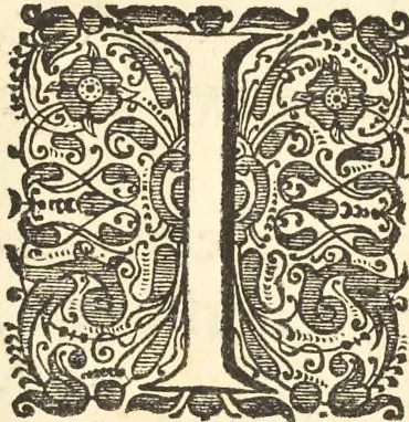 An illustration from Gedenkwaerdig bedryf der Nederlandsche Oost-Indische Maetschappye, op de kuste en in het keizerrijk van Taising of Sina : behelzende het tweede gezandschap aen den onder-koning Singlamong en veldheer Taising Lipoui, door Jan van Kampen en Konstantyn Nobel : vervolgt met een verhael van het voorgevallen des jaers zestien hondert drie en vier en zestig, op de kuste van Sina, en ontrent d'eilanden Tayowan, Formosa, Ay en Quemuy, onder't gezag van Balthasar Bort : en het derde gezandschap aen Konchy, Tartarsche keizer van Sina en Oost-Tartarye : onder beleit van zijne ed. Pieter van Hoorn : beneffens een beschryving van geheel Sina : verçiert doorgaens met verscheide kopere platen, 1670, leaf 10