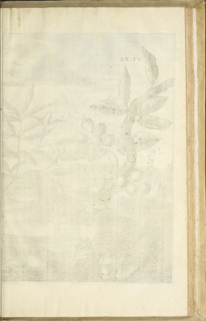 An illustration from Gedenkwaerdig bedryf der Nederlandsche Oost-Indische Maetschappye, op de kuste en in het keizerrijk van Taising of Sina : behelzende het tweede gezandschap aen den onder-koning Singlamong en veldheer Taising Lipoui, door Jan van Kampen en Konstantyn Nobel : vervolgt met een verhael van het voorgevallen des jaers zestien hondert drie en vier en zestig, op de kuste van Sina, en ontrent d'eilanden Tayowan, Formosa, Ay en Quemuy, onder't gezag van Balthasar Bort : en het derde gezandschap aen Konchy, Tartarsche keizer van Sina en Oost-Tartarye : onder beleit van zijne ed. Pieter van Hoorn : beneffens een beschryving van geheel Sina : verçiert doorgaens met verscheide kopere platen, 1670, leaf 1003